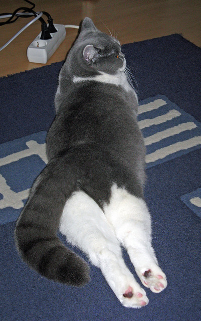 LEYU SPORTS中国官方网站-职业联赛增加多视角直播画面提升技术分析深度，多角度看赛场直播