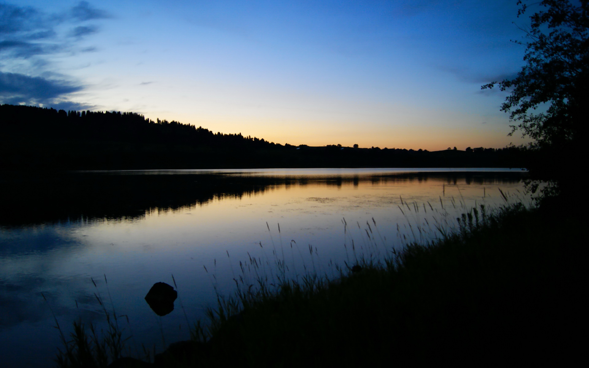 APP下载 LY Sports-赛事组委会召开新闻发布会介绍比赛筹备进展与组织细节安排，比赛新闻发布会讲话稿